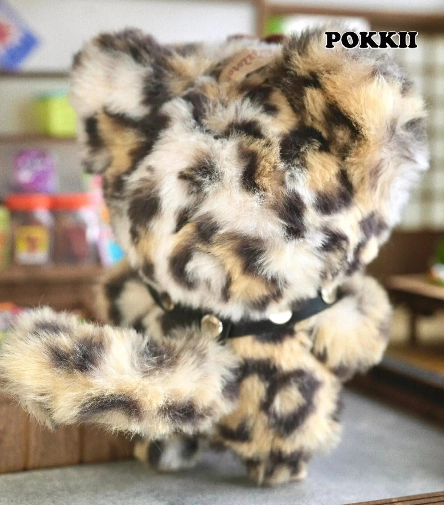 zZoton "My Little Cat" Series Plush Blind Box - POKKII