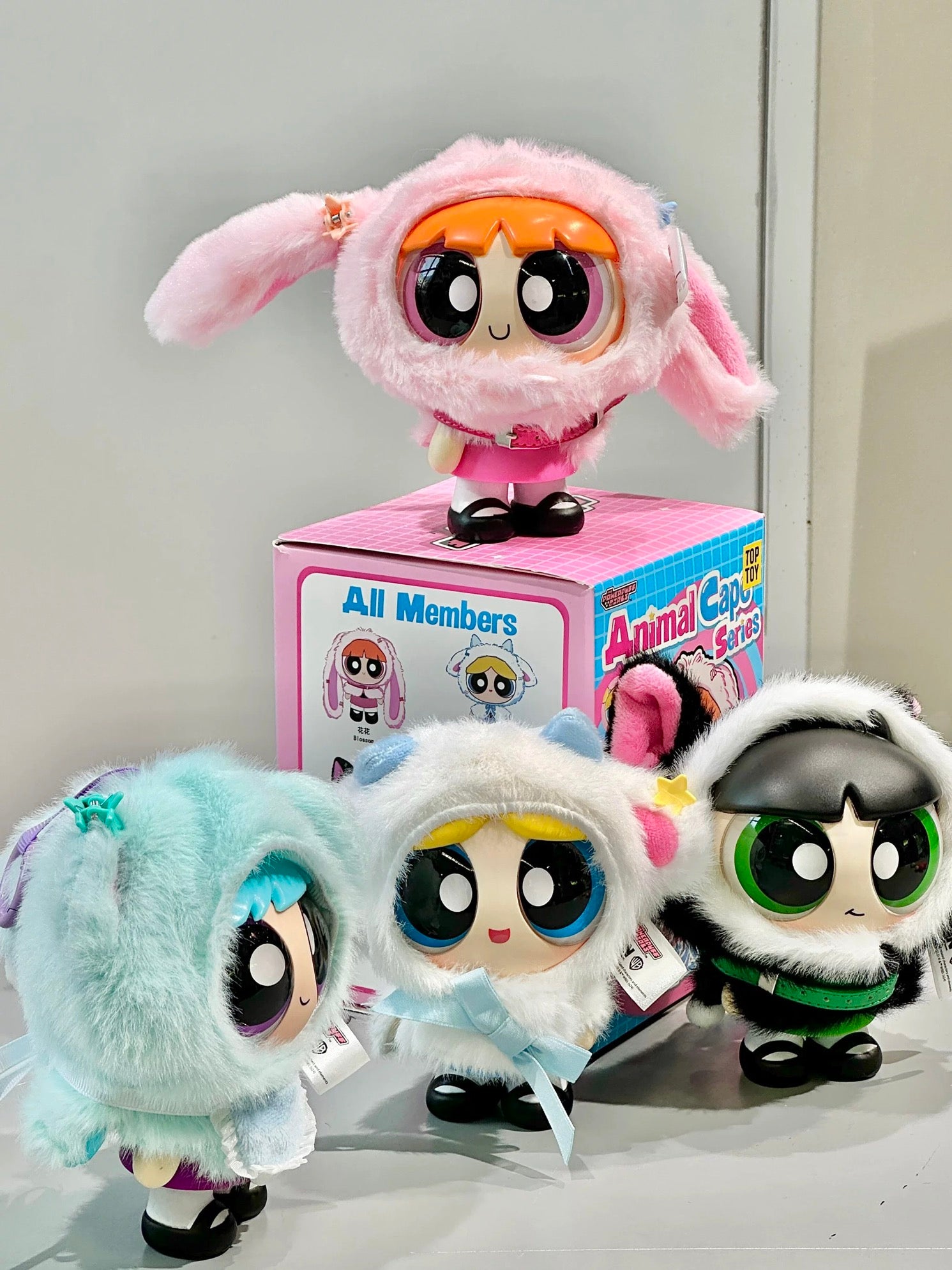 Powerpuff Girls "Animal Cape" Series Pushies Blind Box